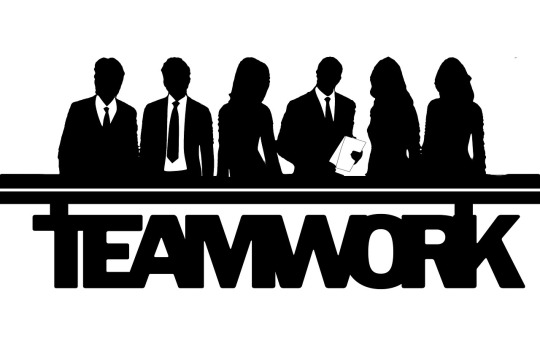 business team portrait